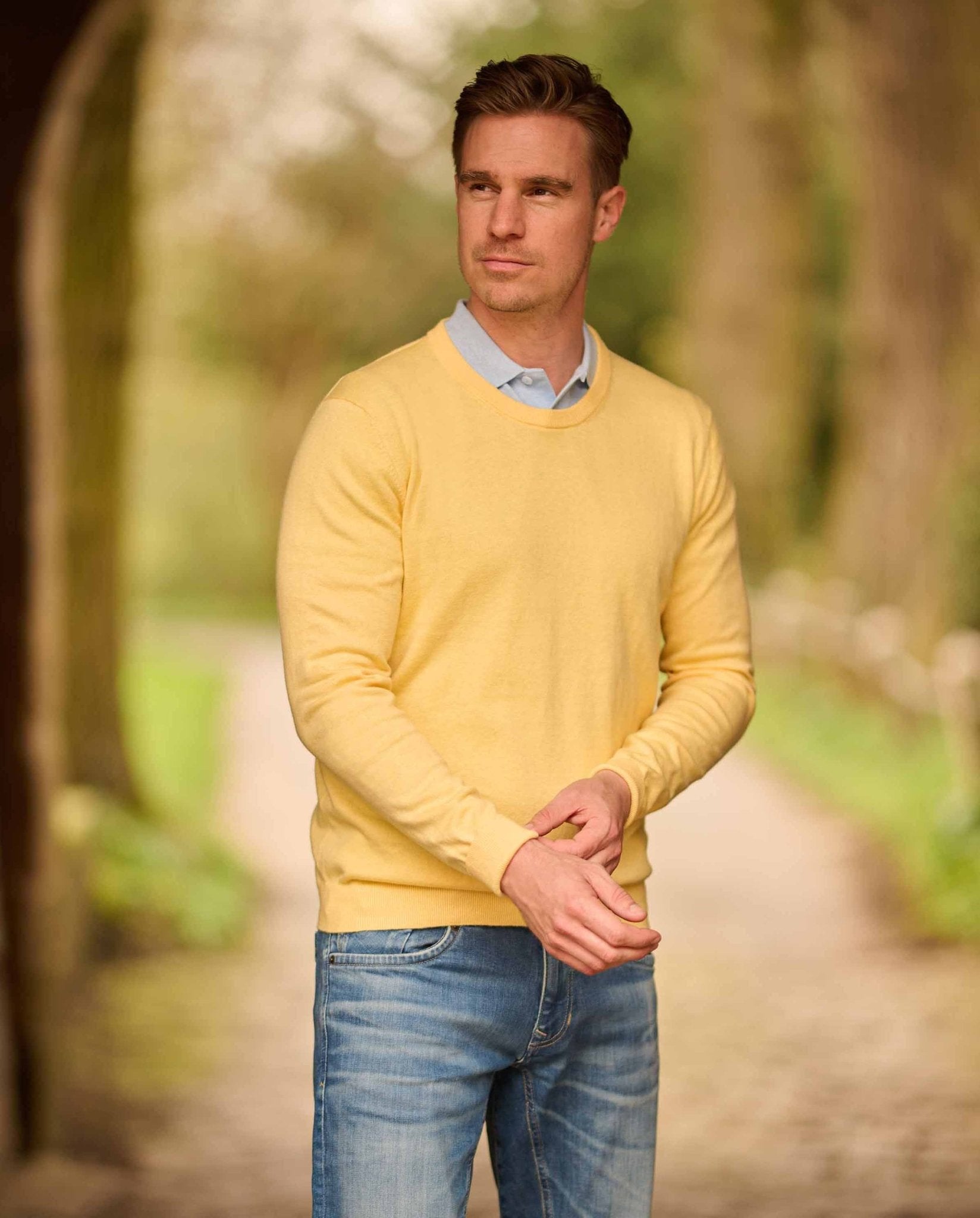 Herrenpullover Rundhals ''Till'' in sun - Wellington of Bilmore